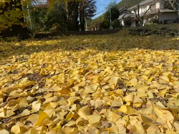大崎神社(兵庫県)