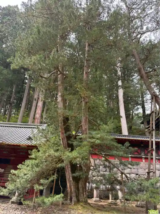 輪王寺(栃木県)