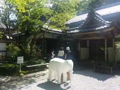 華厳寺の狛犬