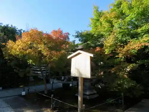 勝林寺の庭園