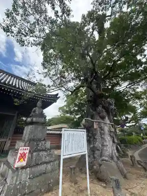 與田寺(香川県)
