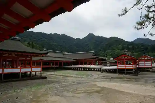 厳島神社の景色