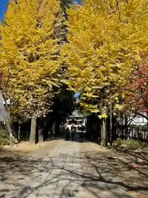 亀戸 香取神社(東京都)