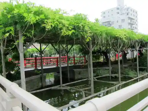 亀戸天神社(東京都)