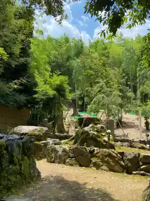 地蔵院(京都府)