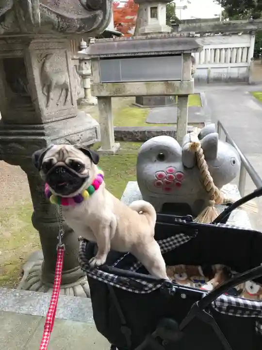 大井神社(如意)の動物