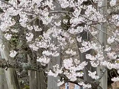 淡墨観音の自然