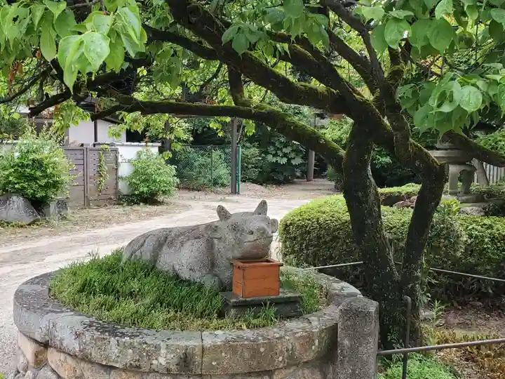 臂岡天満宮の狛犬