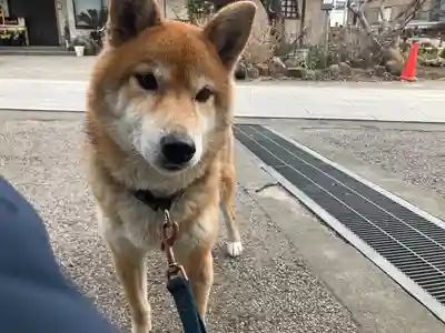 感通寺(東京都)