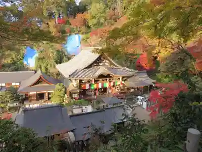 岡寺（龍蓋寺）の本殿・本堂