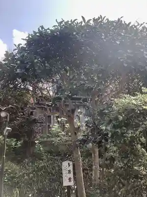 佛日庵(神奈川県)