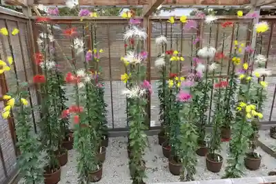 大覚寺(京都府)