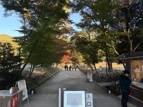 醍醐寺(京都府)
