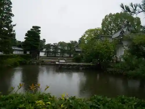 妙心寺（妙心禅寺）の庭園