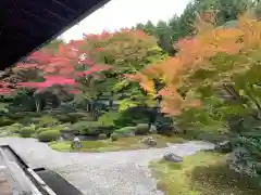 御寺 泉涌寺(京都府)