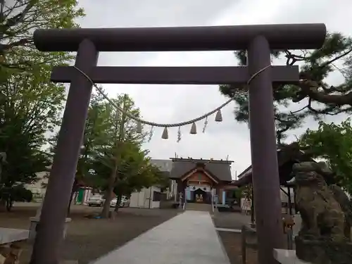 札幌村神社の鳥居