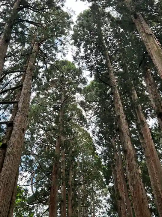 戸隠神社奥社の自然