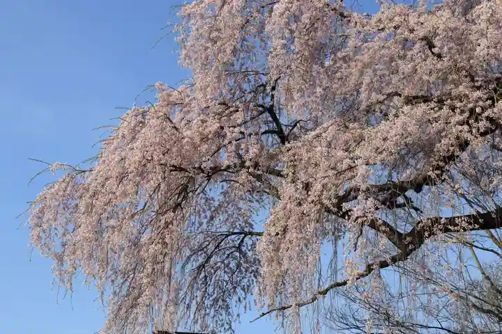 貝山薬師堂の自然