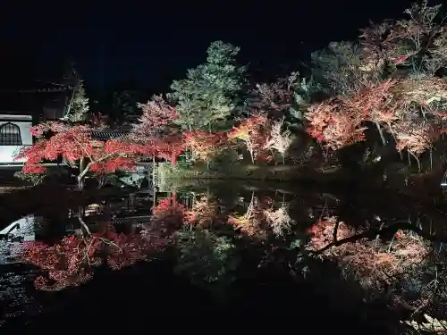 高台寺（高台寿聖禅寺・高臺寺）(京都府)