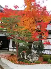 圓光寺の自然