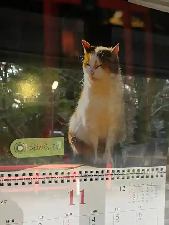 愛宕神社の動物