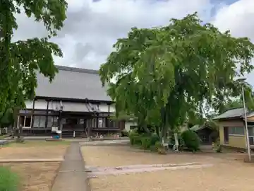 常福寺(千葉県)