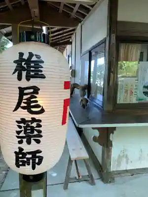 椎尾山薬王院(茨城県)