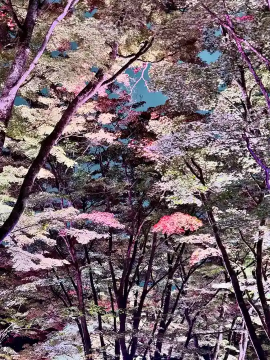 土津神社|こどもと出世の神さま(福島県)