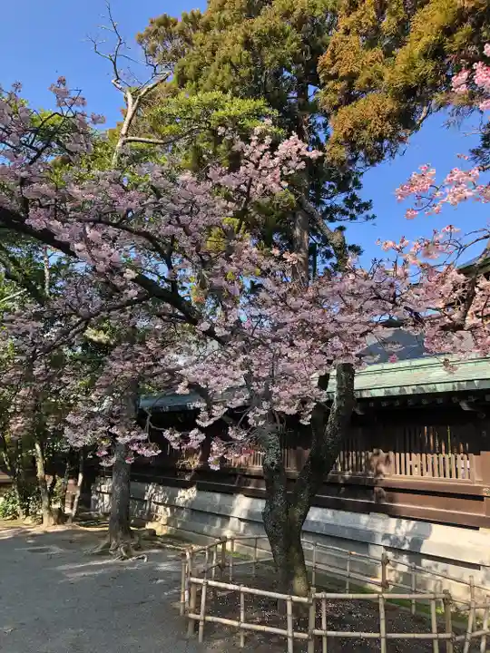 宮地嶽神社(福岡県)