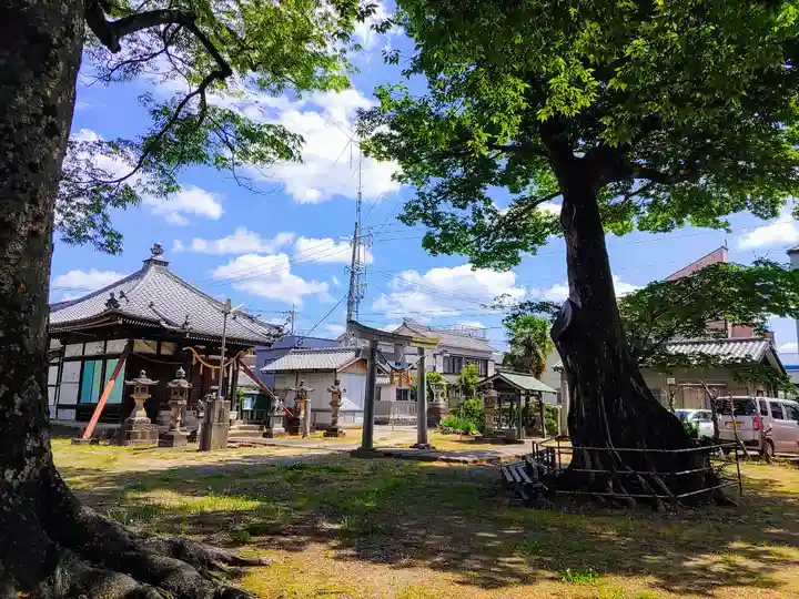 白山神社(魚町)の自然