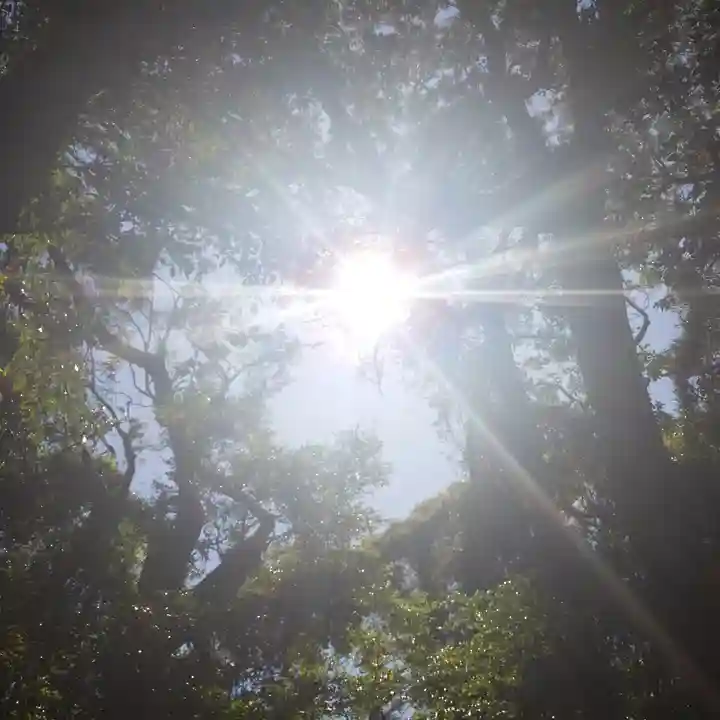 沼尾神社の自然
