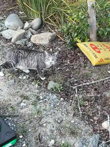 一心寺・一心禅寺の動物