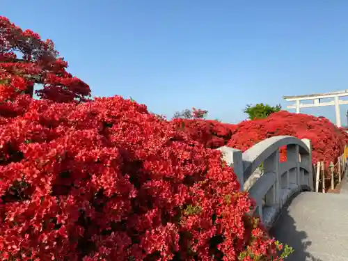 長岡天満宮の庭園