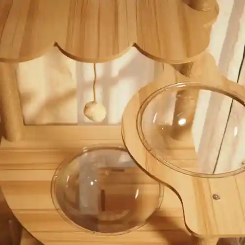 天王山 安楽寺(福井県)