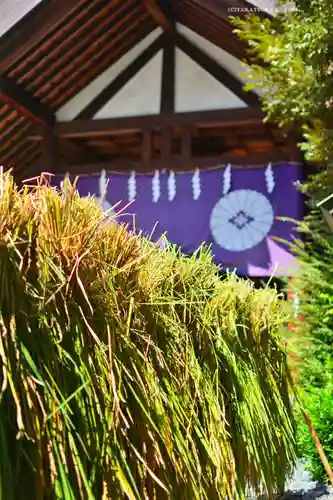 東京大神宮(東京都)