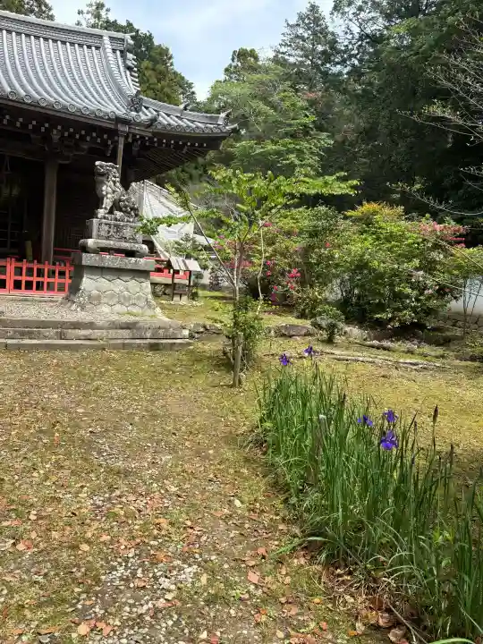 賀茂神社の{uncategorized: "未分類", other: "その他", undefined: "問題あり", building: "その他建物", grave: "お墓", sacred_gate: "鳥居", guardian: "狛犬", statue: "像", buddha: "仏像", history: "歴史", nature: "自然", garden: "庭園", animal: "動物", pagoda: "塔", temizu: "手水舎", mountain_gate: "山門・神門", sanctuary: "本殿・本堂", subordinate: "末社・摂社", art: "芸術", scenery: "景色", jizo: "地蔵", ema: "絵馬", goshuin: "御朱印", omikuji: "おみくじ", items: "授与品その他", amulet: "お守り", goshuincho: "御朱印帳", eats: "食事", festival: "お祭り", votive_dance: "神楽", shichigosan: "七五三参", wedding: "結婚式", experience: "体験その他", initially: "初詣", around: "周辺", anti_infection: "感染症対策"}