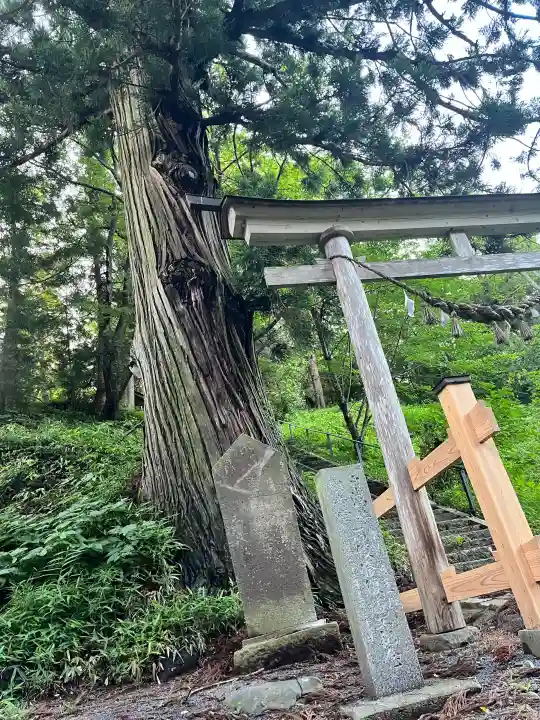白山神社(宮城県)