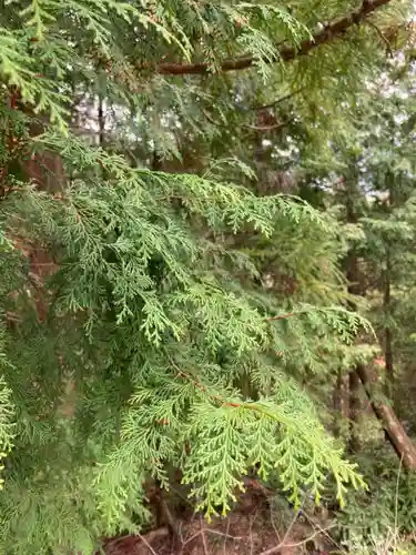 河上神社(兵庫県)
