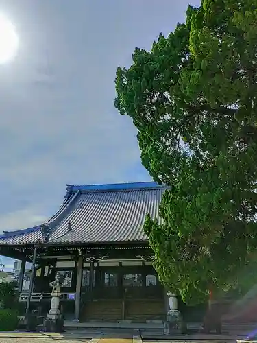 聖運寺の本殿・本堂