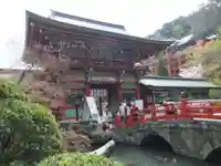 祐徳稲荷神社(佐賀県)