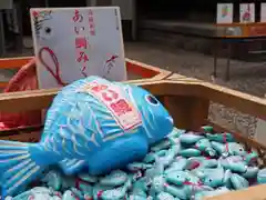 川越氷川神社(埼玉県)