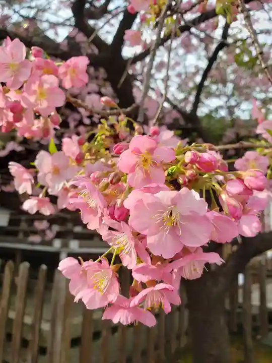 新宿下落合氷川神社(東京都)