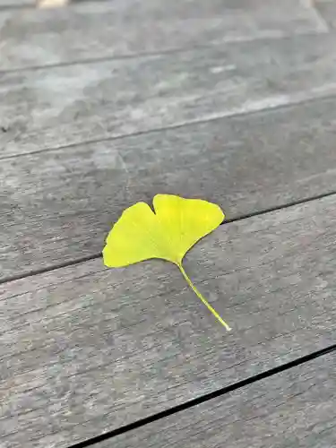 伊勢の国 四天王寺(三重県)