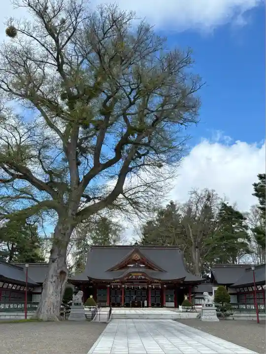 北海道護國神社の本殿・本堂