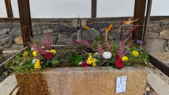 興聖寺(興聖寶林禅寺)(京都府)