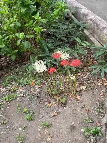 仙波東照宮の自然