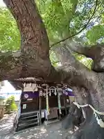 三島神社(大阪府)