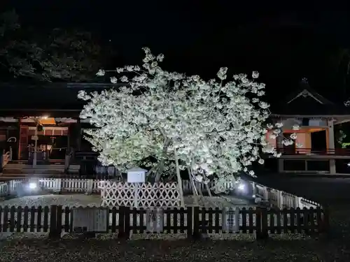 上地八幡宮の庭園