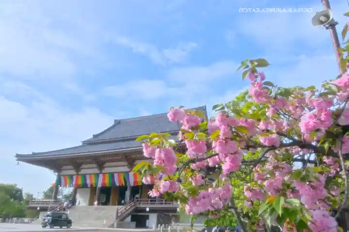 西新井大師総持寺(東京都)