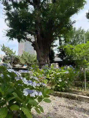 磐井神社(東京都)